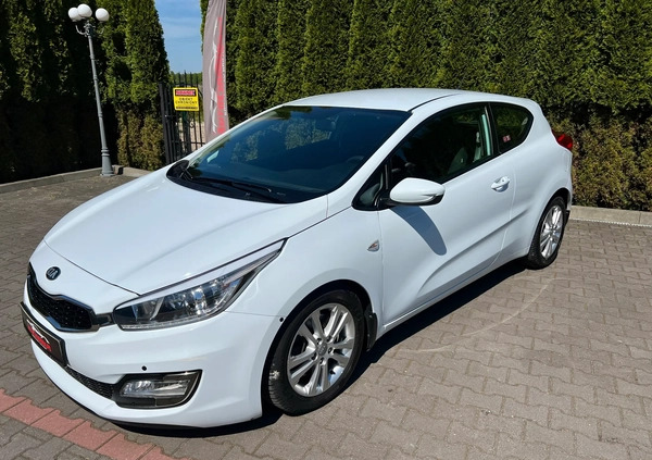 Kia Ceed cena 25900 przebieg: 216281, rok produkcji 2013 z Recz małe 704